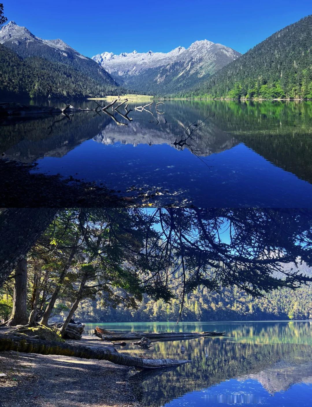 川西秘境里藏着个宝藏湖泊——伍须海！坐落在甘孜九龙县，3760米的海拔让它