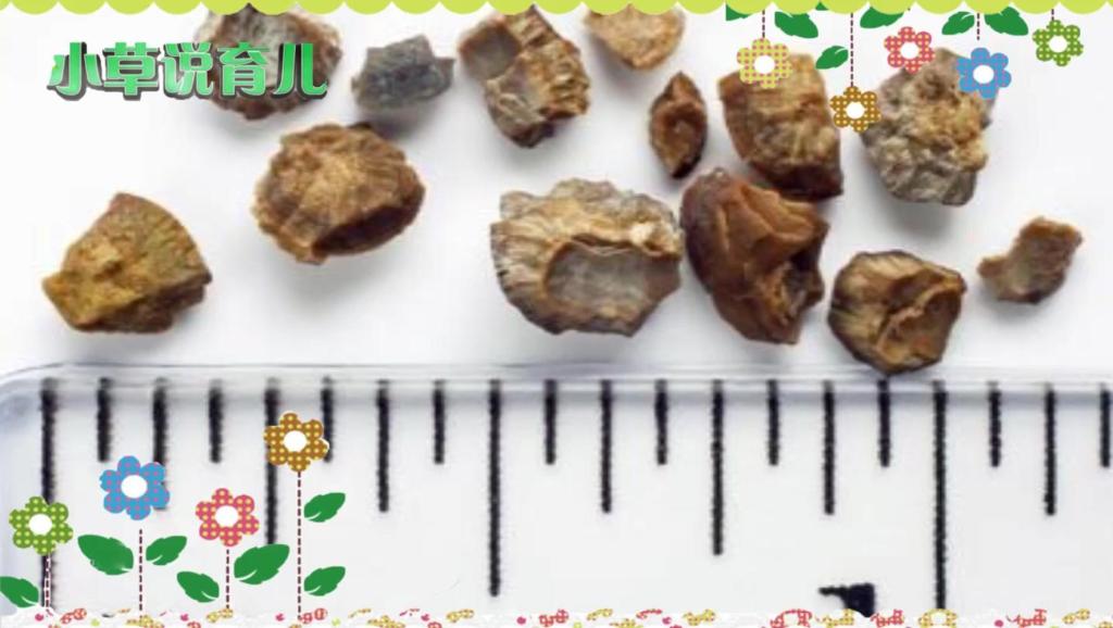 8188706562326327976.jpg?id=0