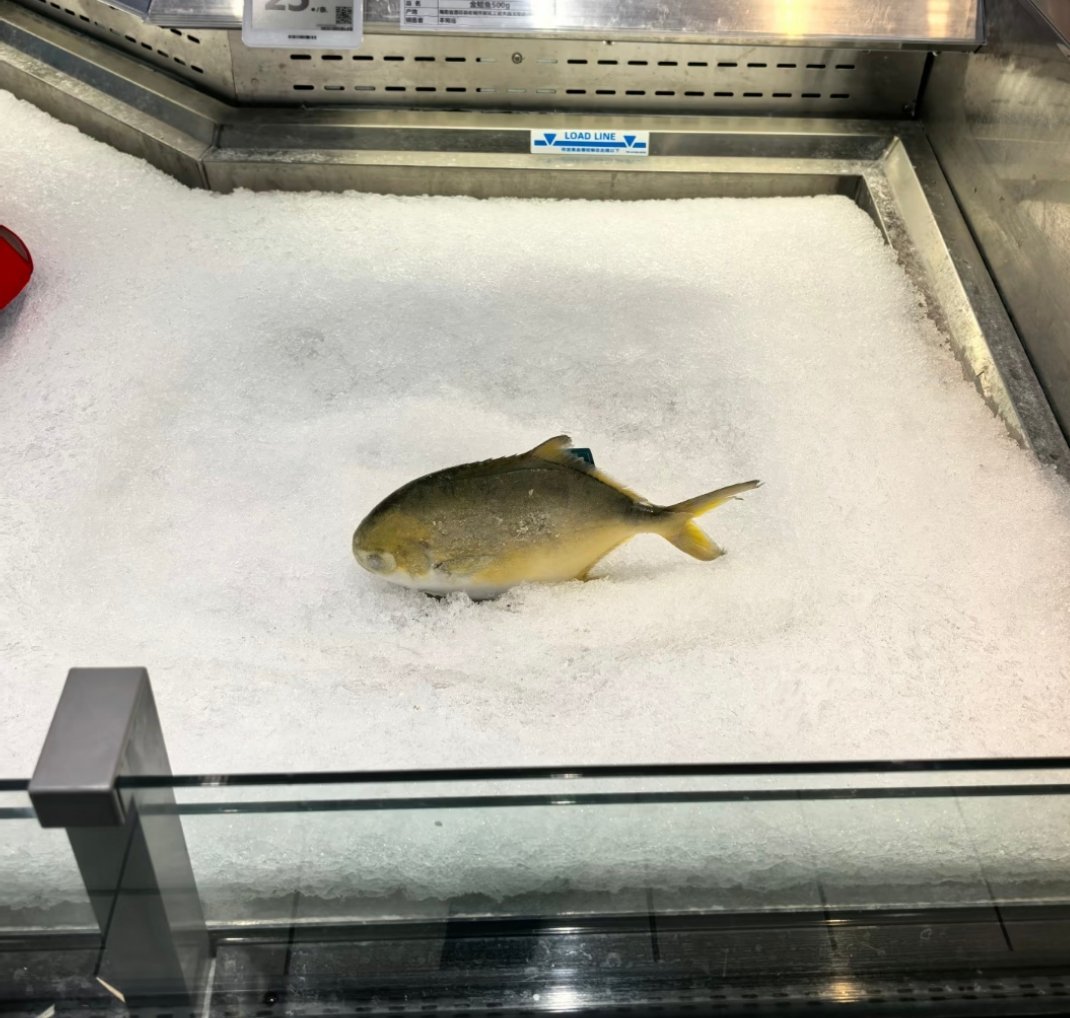 忍不住化身一条固执的鱼