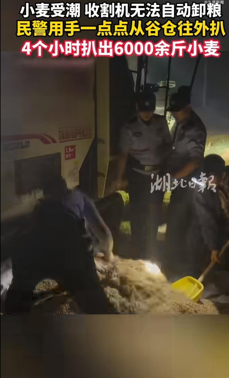 留守老人蹲在地头犯愁，了解情况后，派出所所长二话没说蹲下就开始徒手扒，一干就是好