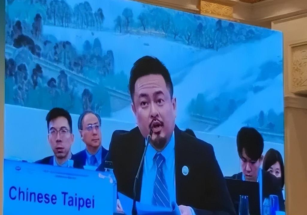 洪申翰在南京APEC会场上那张照片，正在台湾网络上疯传。桌牌上明明白白刻着