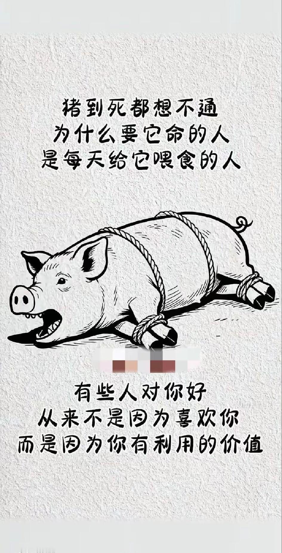 为什么二师兄到死都不明白：结束它生命的人是每天喂饱它的人。而有些人为什么不明白