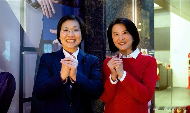 台湾省新竹县长国民党初选副县长陈见贤、立委徐欣莹相争，大年初二徐欣莹展现国会好人