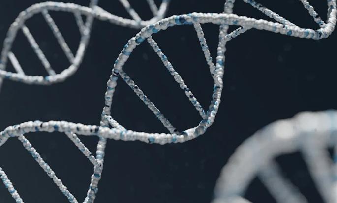 【胡文琦：橘营公道话：朝野都应验DNA】针对台北市长蒋万安究竟是否真正为蒋家后