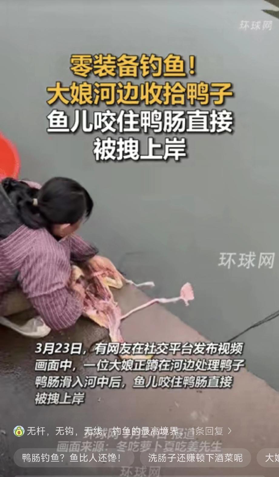 一大娘在河边收拾鸭子，清洗鸭肠时，一只鱼儿竟直接咬住鸭肠不松口，大娘见状，一把将