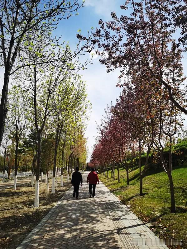 好多人都明白父母身体健康是儿女的福报。尤其对于中年人来说，上有老下有小，工作最