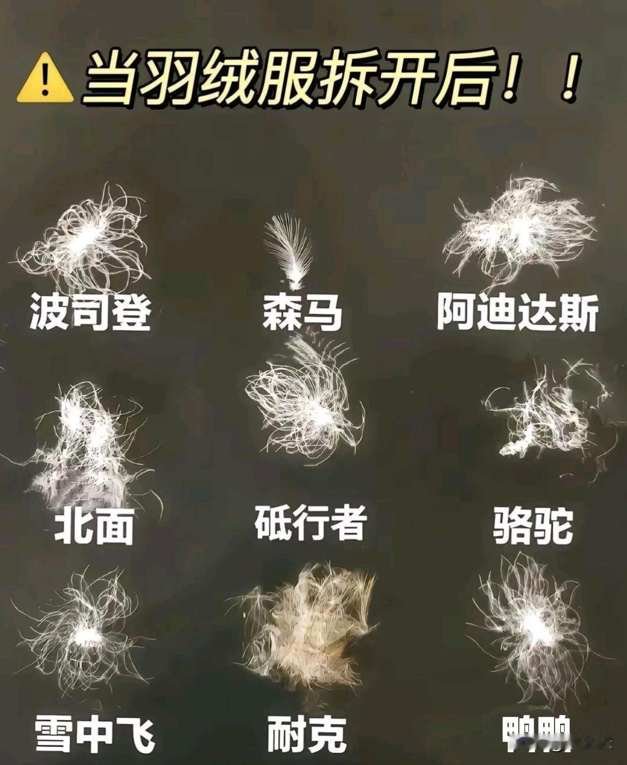 各大羽绒服常见品牌拆开后对比，证明羽绒服的好坏跟价格没有太大的关系