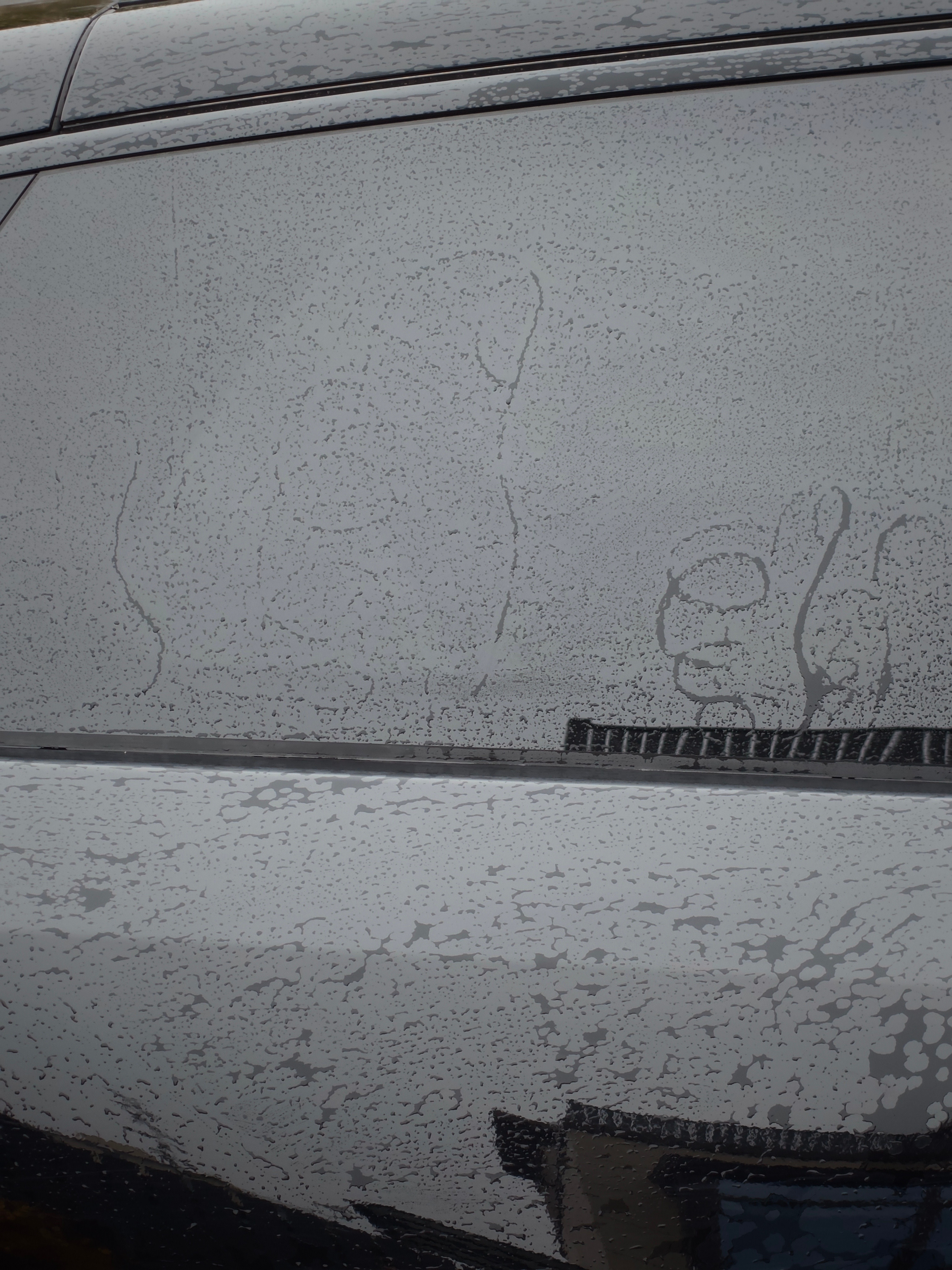 卧槽！给蔚来ES8洗完车之后三排小窗出现了一些规则型水渍这图案是啥意思