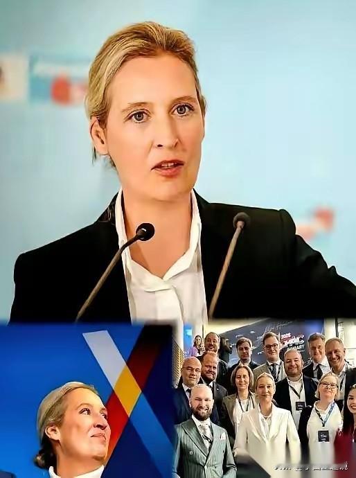 德国这场选举让某些人睡不着觉了吧！他们嘴里那个“极右翼”政党，那个天天被骂