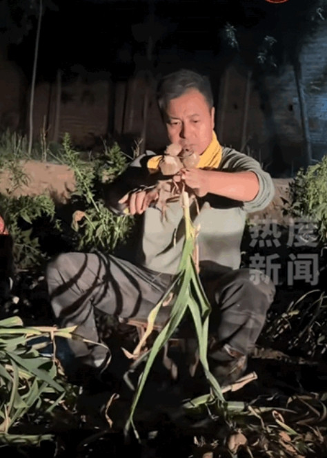 这样的人品全国罕见！”山东菏泽，男子帮岳母收蒜到晚上十点，就因妻子临终前托付他要