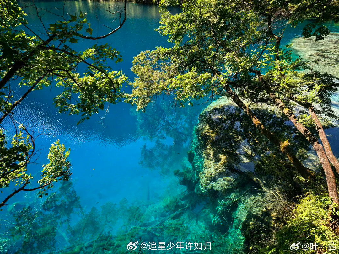 森碟抱着叶一茜拍照叶一茜森碟去九寨沟了人间仙境九寨沟迎来神仙母女，森碟紧紧搂着妈