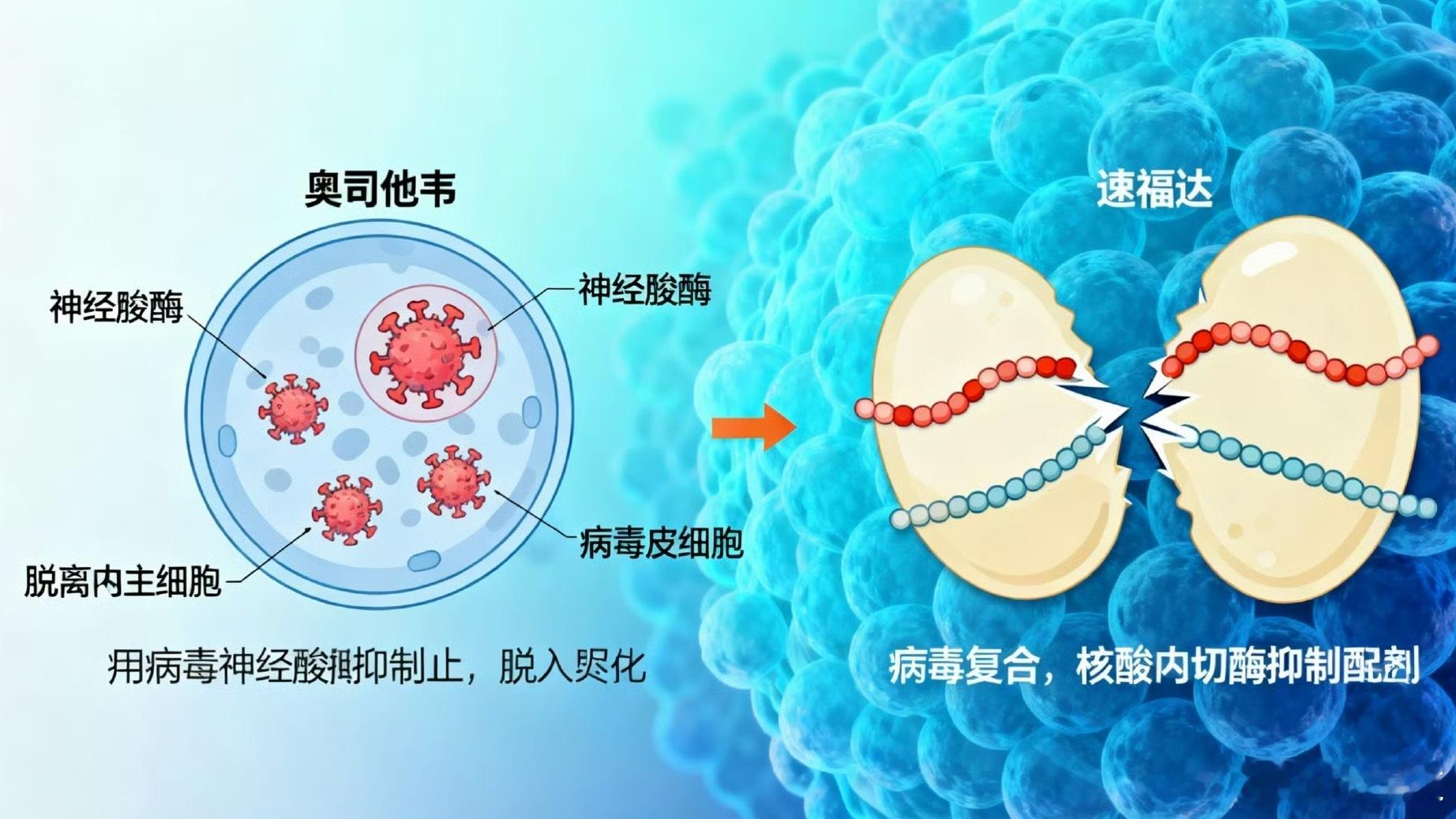 谁在买200元一粒的流感药流感季，速福达和奥司他韦成热门抗流感药。二者虽都能