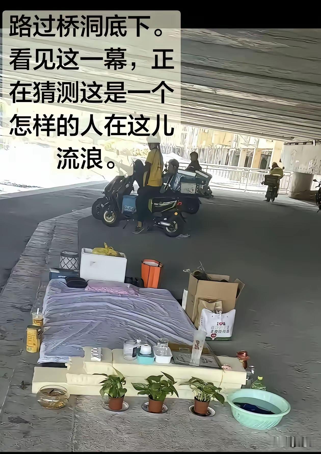 这么讲究的人怎么会沦落到此呢？