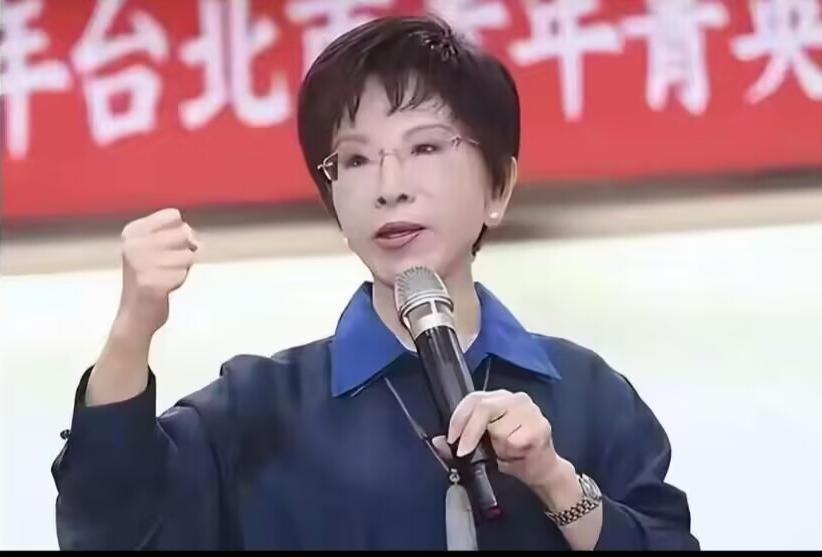 郑丽文前脚刚走，洪秀柱后脚就到了北京。有意思的是，她俩说的话，调门简直是天差地别