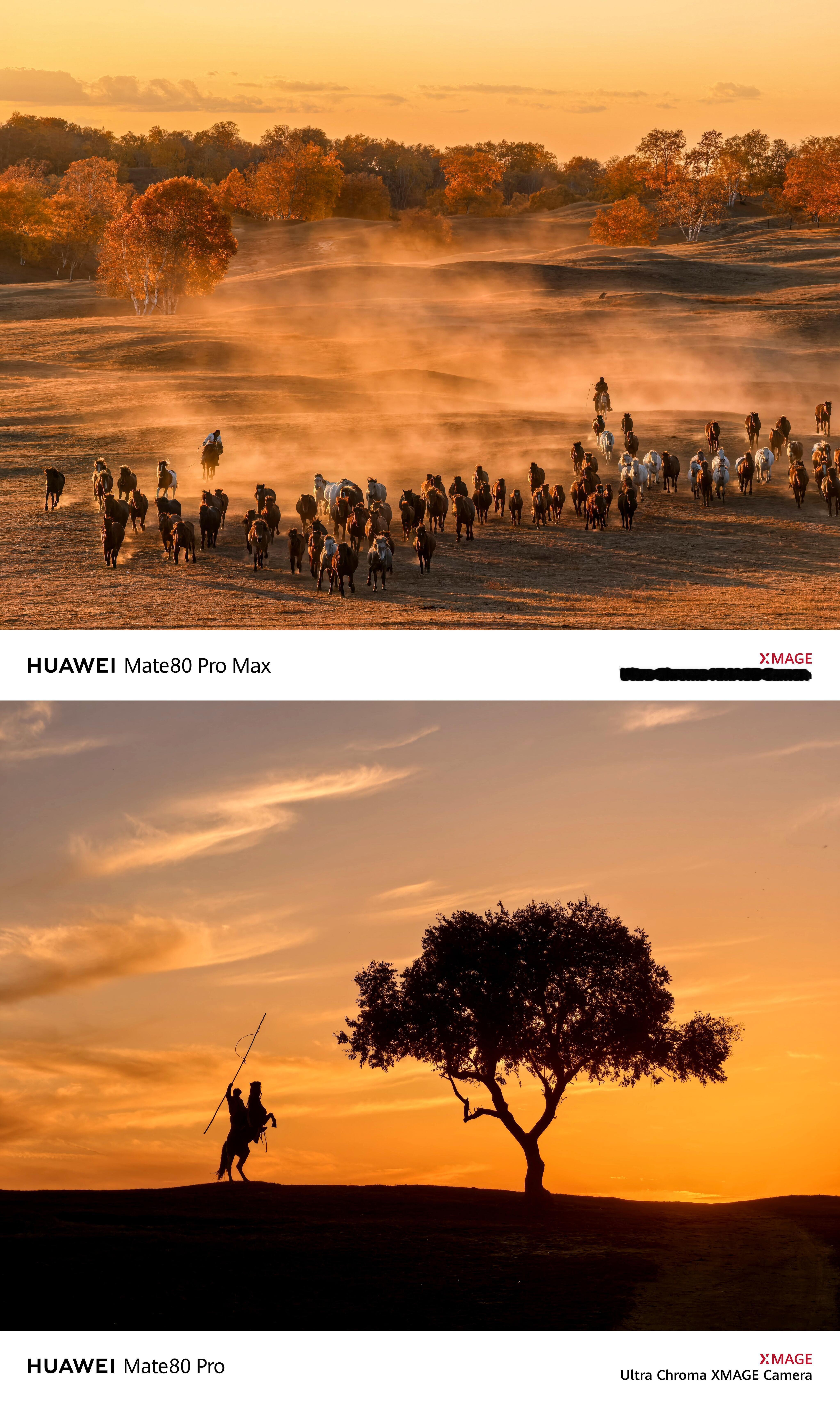 Mate80promax影像能力真的提升好大啊！绝了真的