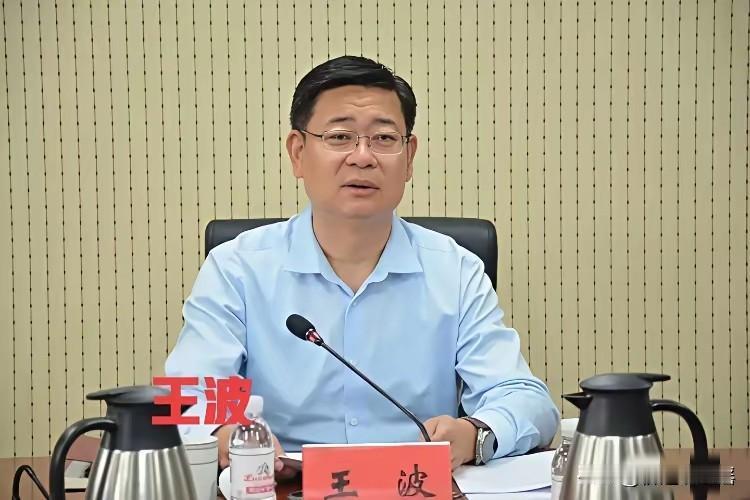 青岛，又一位！今天官宣的是青岛市委常委兼市府副职王波。王1970年出生。曾任职