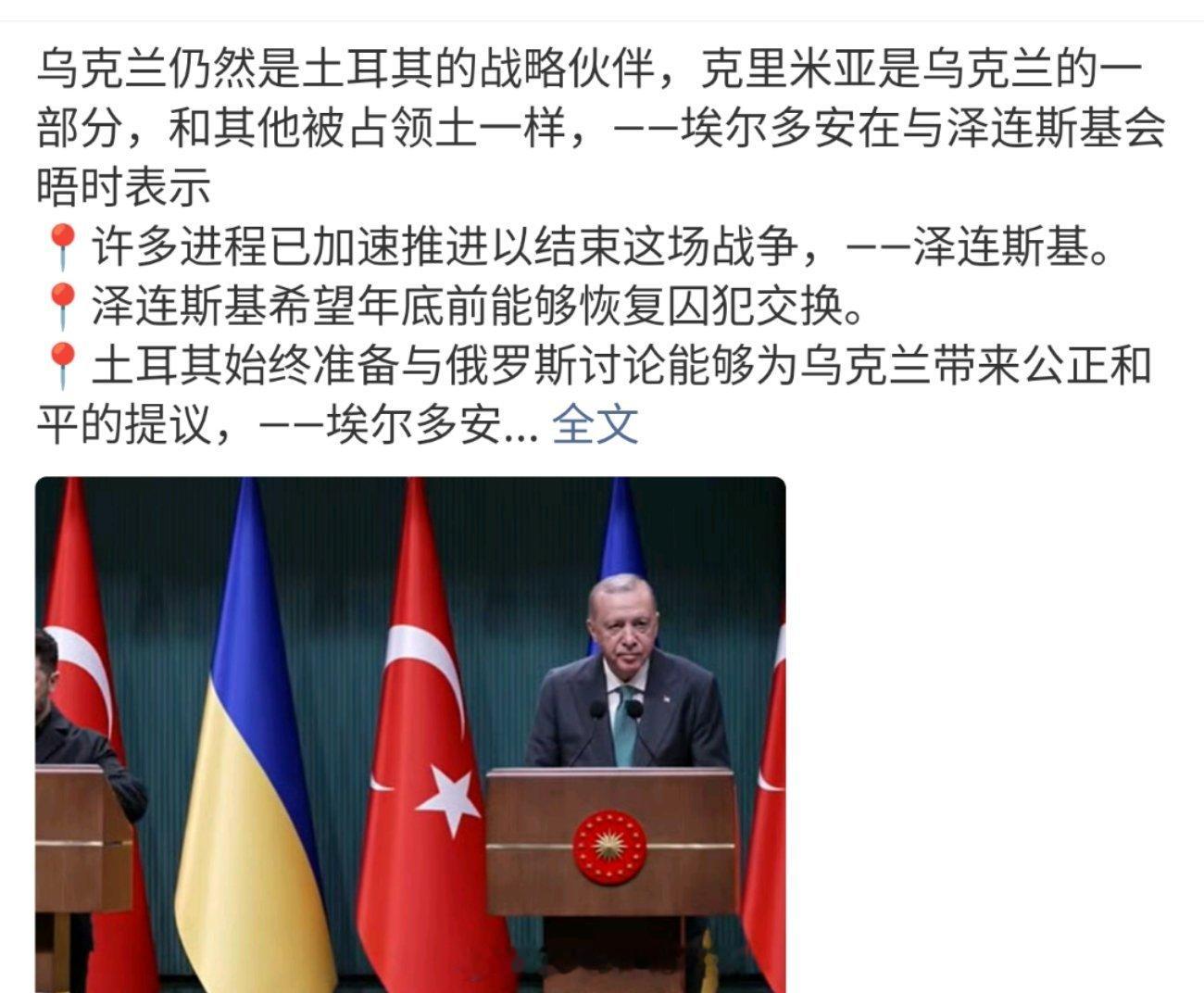 埃尔多安两面三刀