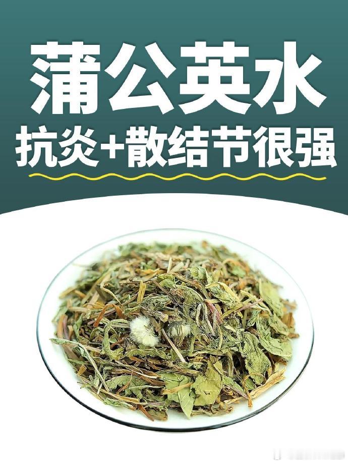 蒲公英具有清热解毒、消肿散结、利尿通淋等功效。但是很多人都不知道蒲公英的12种实