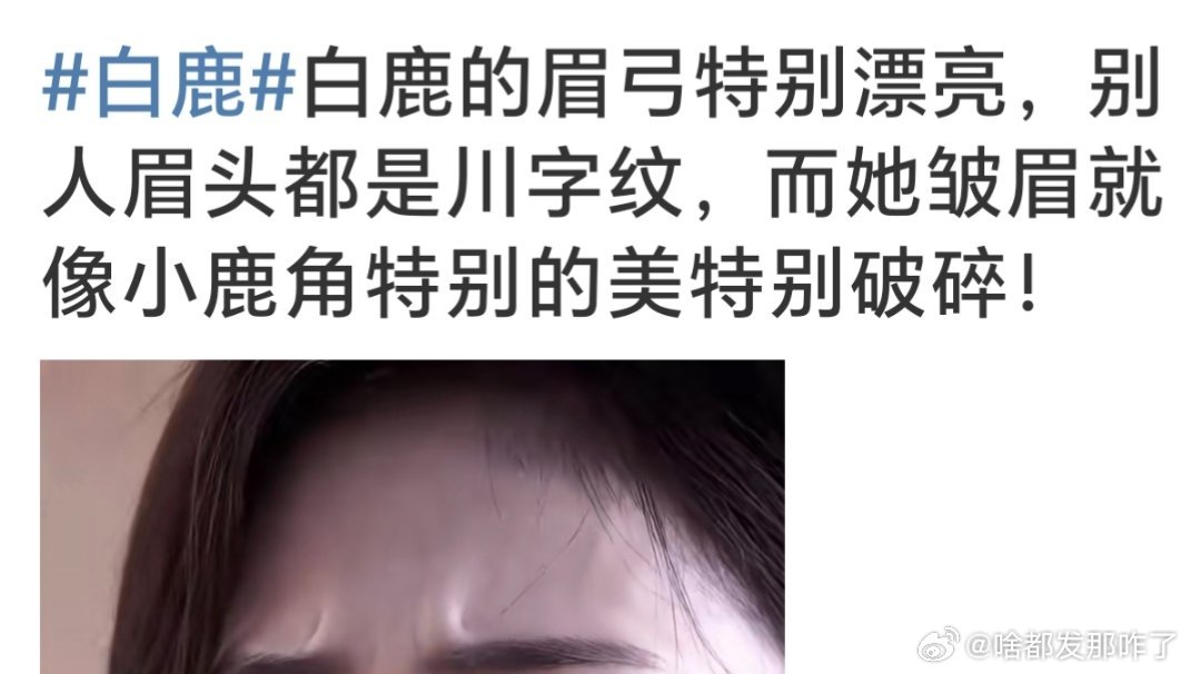 像小鹿角………​​​