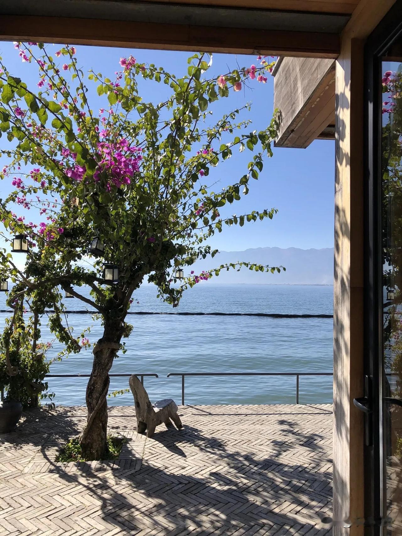 美国的特别检察官，现在成了华盛顿最大的“弃子”。♟️杰克·史密斯信誓旦旦说手