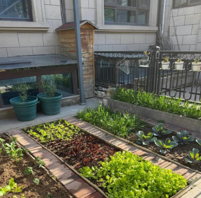 梅婷那套别墅值一个亿，但最贵的不是装修，是她公公种的400平菜园。你见过哪个影