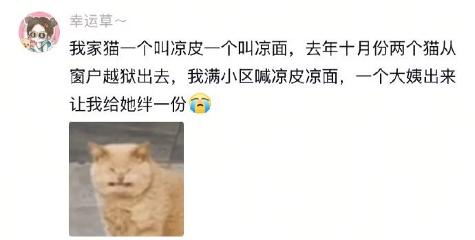 取这个名字是因为你爱吃吗?