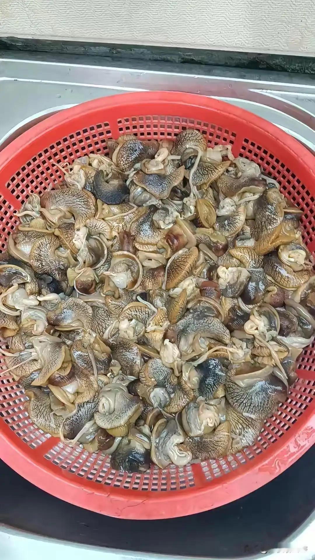 应该没几个人吃过这个！