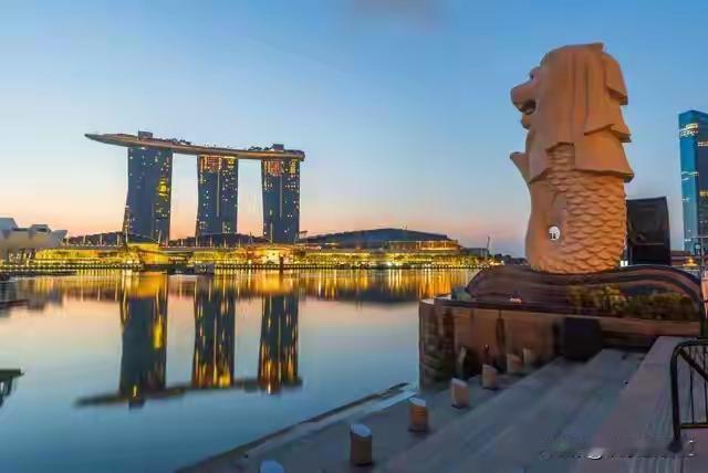 海南封关动了谁的奶酪？新加坡这下真慌了！但真相不是谁取代谁！以前澳大利亚牛