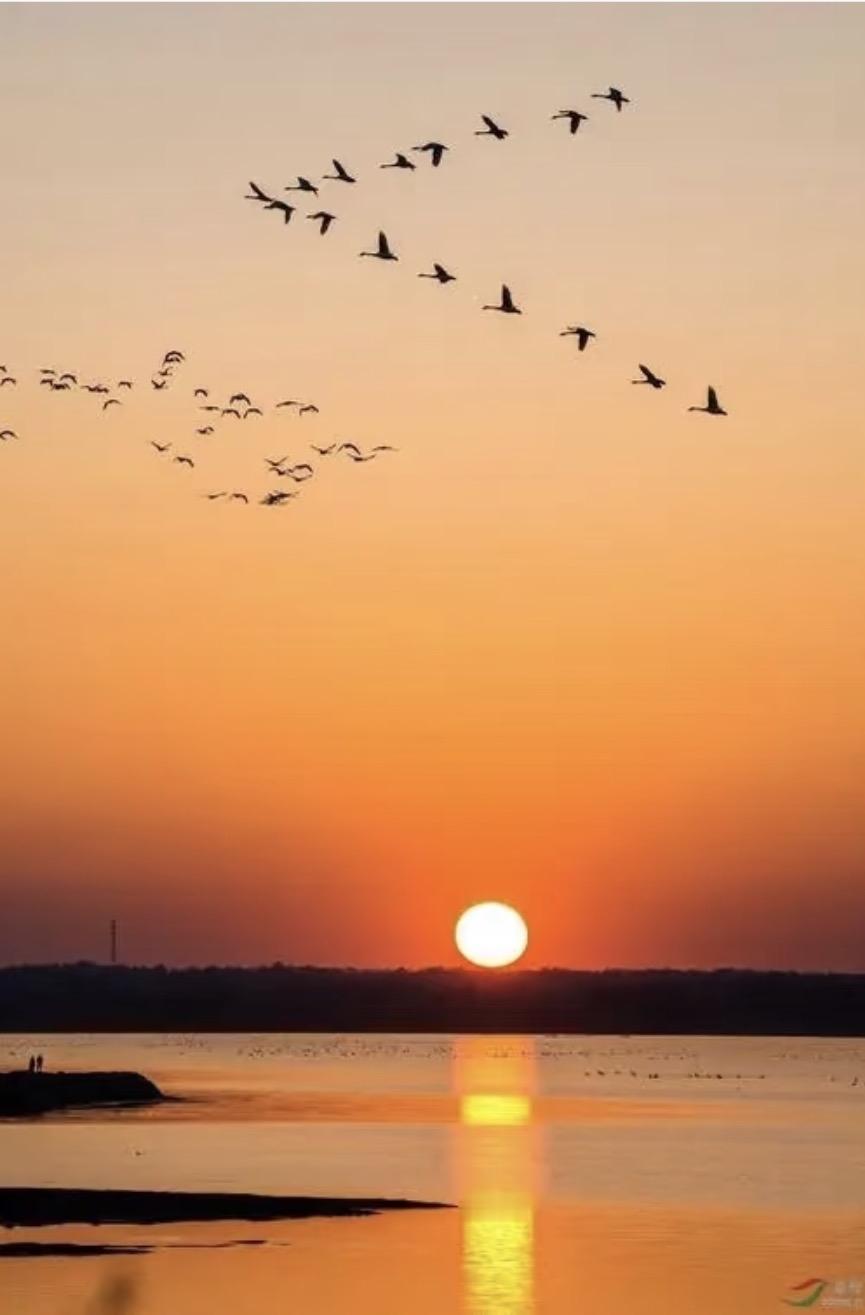 上联：霞煮空江沸雁声上联：叶落寒鸦倚树吟