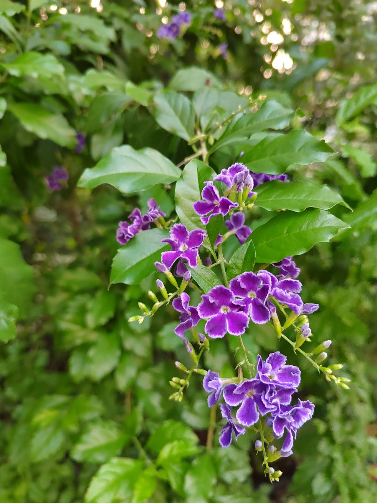 股民想在股市多活几年，牢记这12个“不要”炒股就是修心，守好心态，才能穿