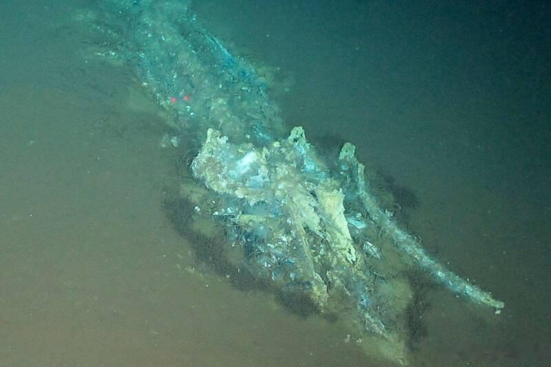 印度洋深海发现530万年前“鲸鱼墓地”绵延1200公里创纪录海外新鲜事科学家