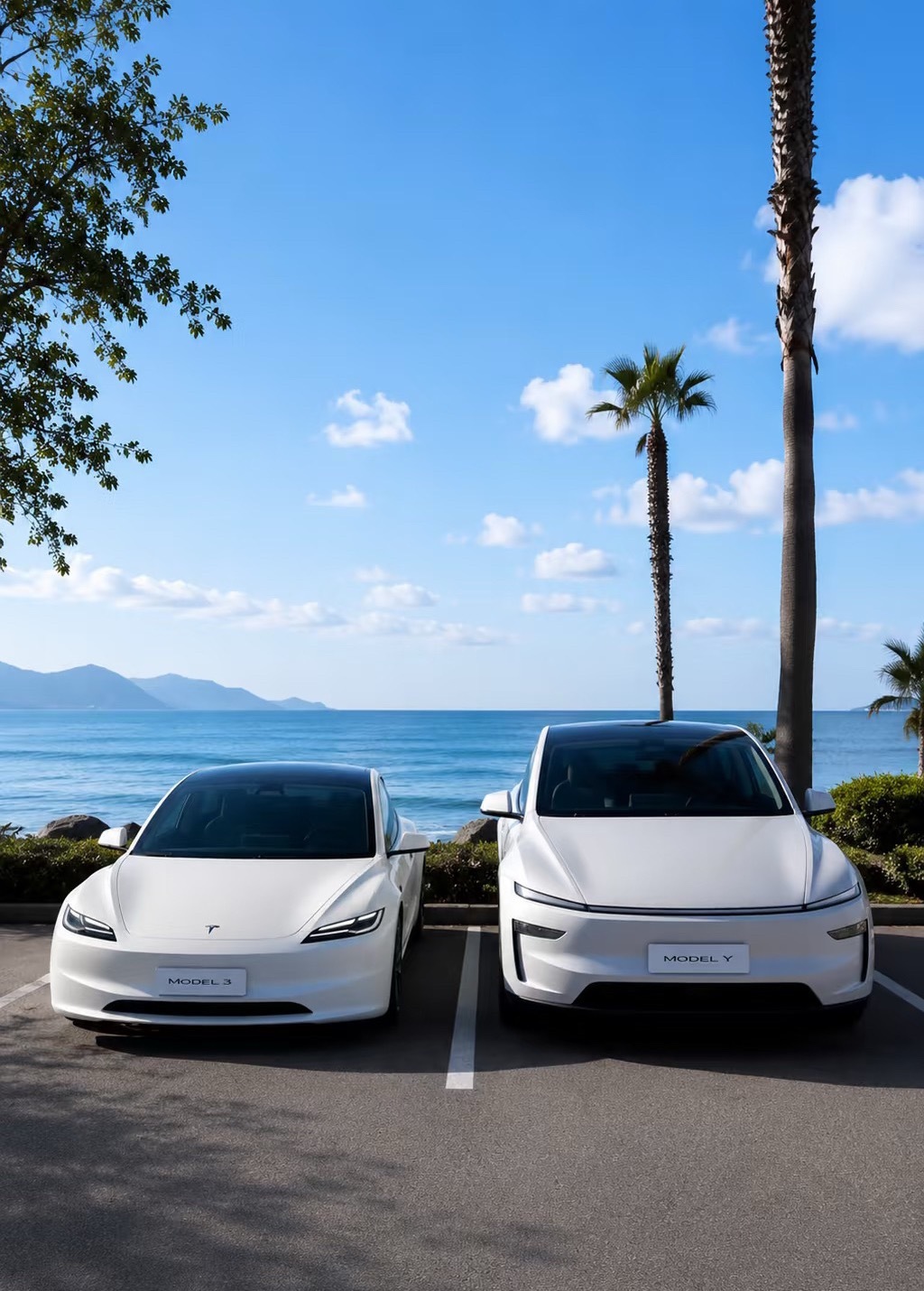 很多人有一个问题，选model3还是选modely，有个高赞回复：只要有一丝