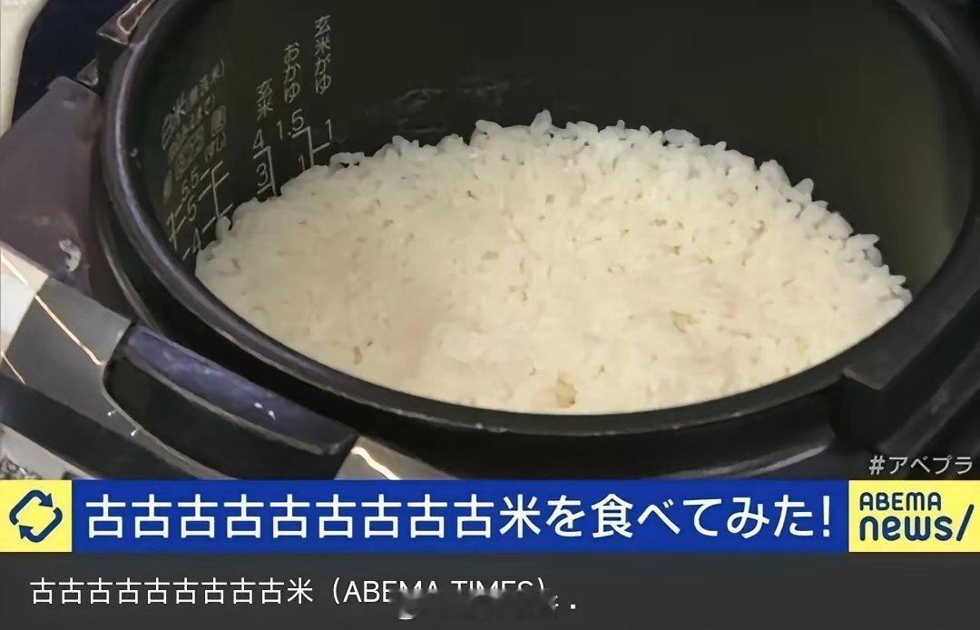 日本人做事真的很细致认真[doge]，陈米1年叫古米，陈米2年叫古古米，陈米3年