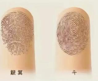 我是十个手指十个螺，老季是九个螺1个簸箕四，这貌似看着说很不错呢。可实际上是不