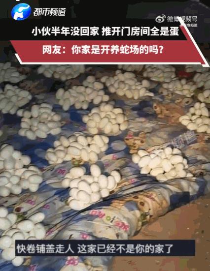 看着就让人头皮发麻！6月12日报道，江西，一小伙出门打工半年，日思夜想终于回到家