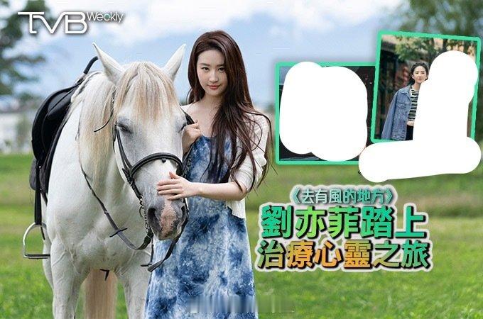 登陆翡翠台！刘亦菲主演电视剧《去有风的地方》11月17日起，每周一至五晚9:30