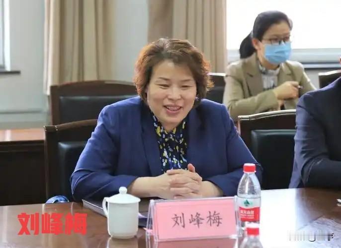 1969年生，36年仕途！精通流程的技术女官刘峰梅被查：把制度玩成自己的暗门