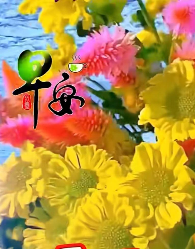 一片真誠裝心底，清晨心裏總惦記，送去祝福是心意，冬天問候暖心裏，願新的一