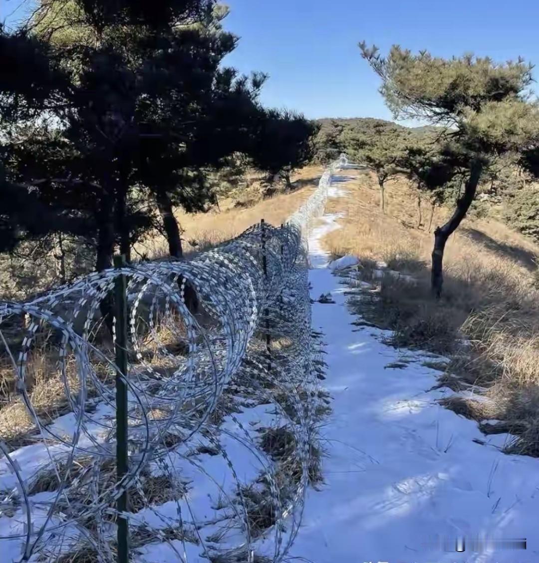 国外主要媒体对泰山景区安装刀片网的评价！反对观点1. 观感刺眼，在风景名