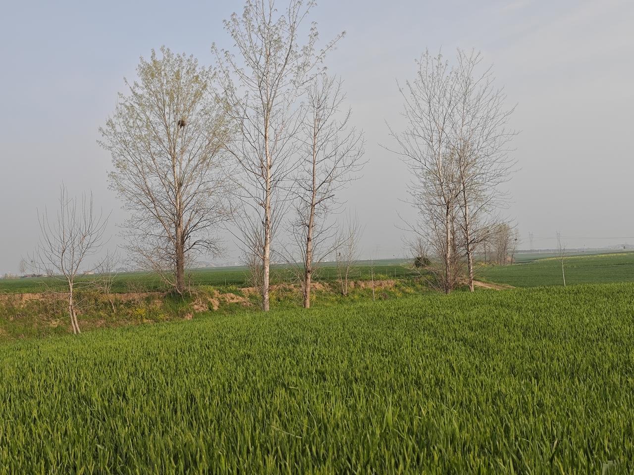 教师职评是打分制，教学成绩、班主任经历、各种荣誉证书，甚至是这些年你有没有去支教