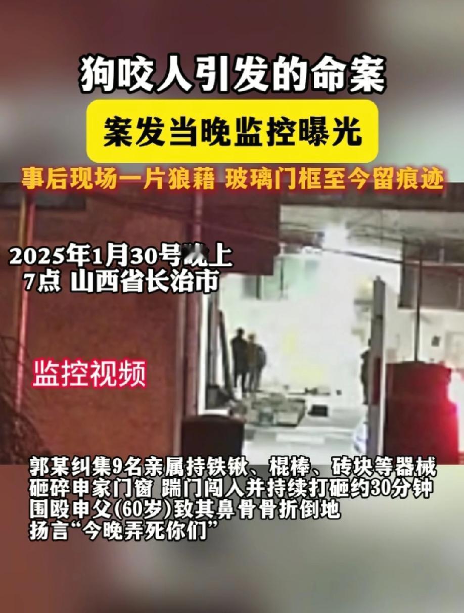 山西狗主人被反杀一案谁在说谎邻居家监控记录了事发前的全过程真如被告人的女儿所