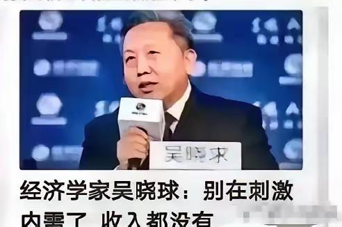 吴晓求一针见血：不提收入只喊消费，如同缘木求鱼！