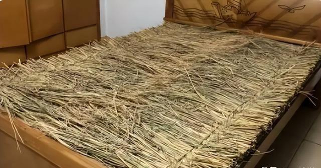 宋朝以前都没有棉被，在零下几十度的冬天，古人是怎么扛过来的？咱们先聊聊古代的“