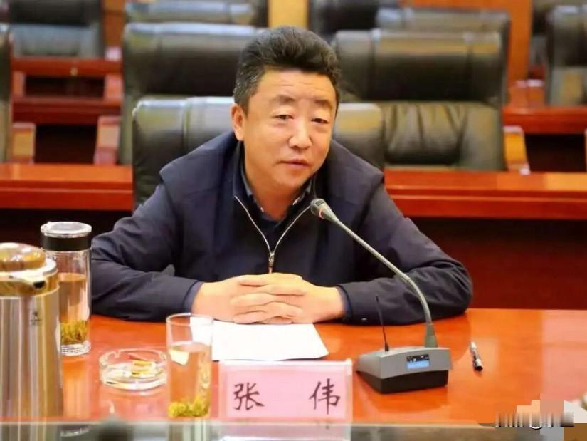 四川凉山州的张伟上了热搜！他是四川省会理县本地人，19岁在凉山州会理县富乐乡参加