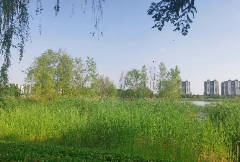 我妹夫出意外不在了，肇事方赔了50多万，我觉得这不多，我妹的孩子还上初中，以后需