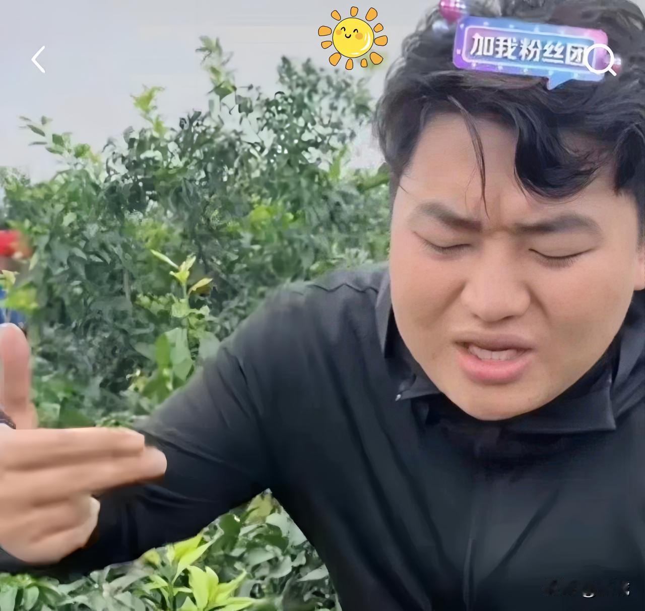 全红婵大哥直播被怼：