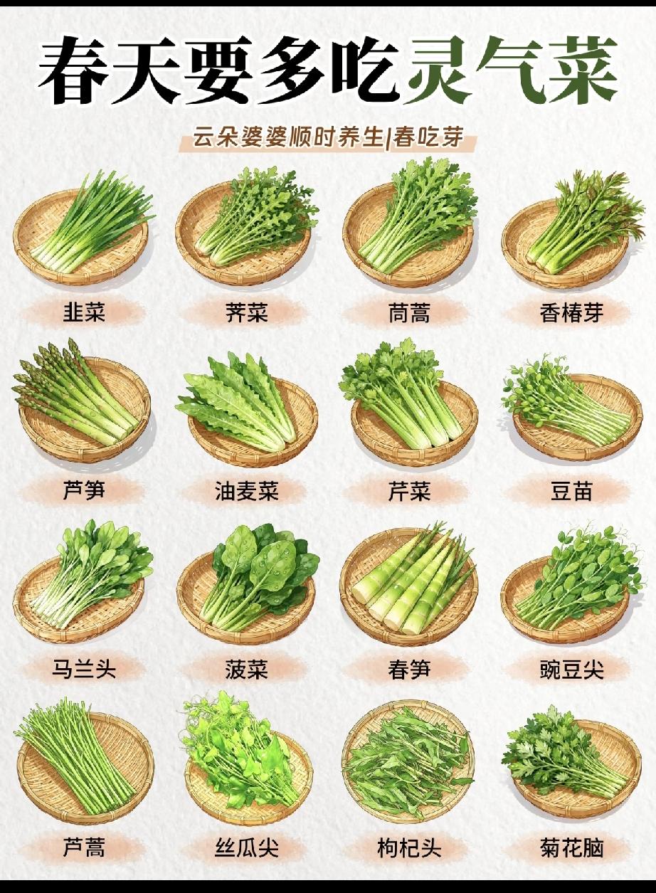 一年只等这一季，春天，16种灵气菜，春笋排行第一[捂脸哭][捂脸哭]，顺