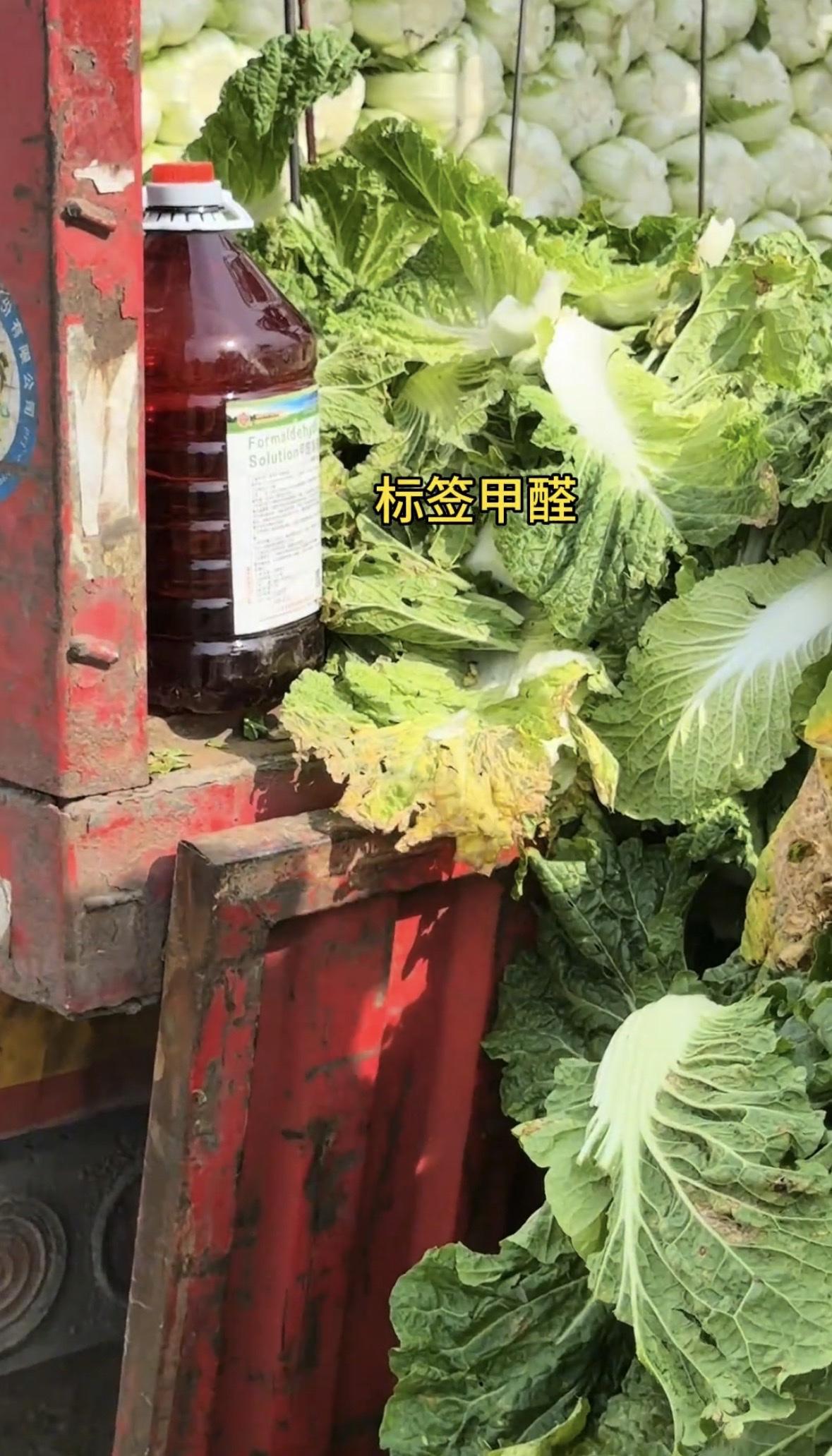 大白菜产地装车蘸甲醛，甲醛溶液瓶随车去大白菜产地，装车时用盆稀释甲醛蘸白菜根只为