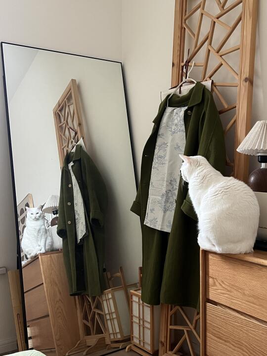 臭美小猫又在照镜子