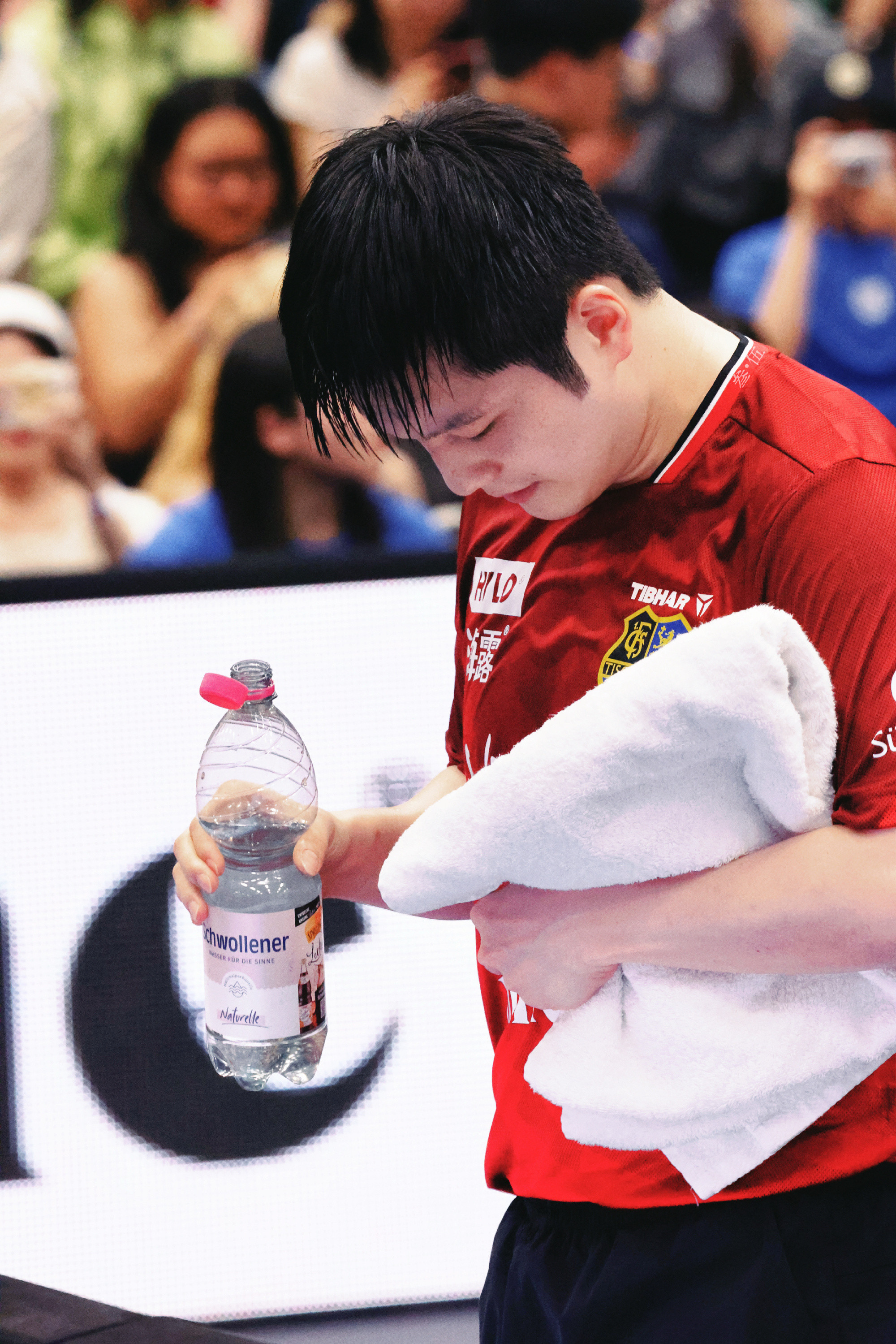 不想做人了，想做樊振东的毛巾看遍赛场风云，还能近距离贴贴！独享他的汗水和温柔擦拭